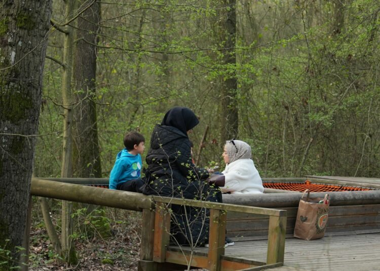 Orman Kutuphanesinde okuma keyfi bir baska 8