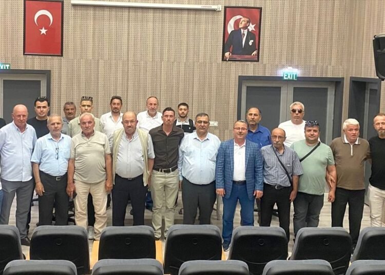 kocaeli den kisa kisa 19988704 amp