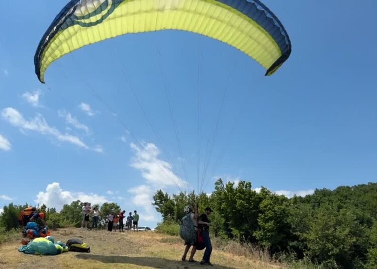20260705 3 75072461 127031342 poster