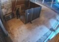 camideki haliyi calan supheli tutuklandi 6 20040756 amp 1