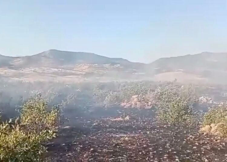 diyarbakir da ortu yangini 4 20041848 amp