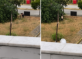 golcuk te amcasini palayla olduren zanli yakalandi 20036068 1817 amp 2