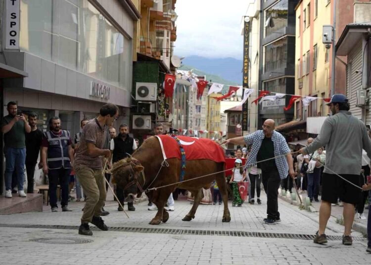kafkasor festivali bogali kortej yuruyusuyle 20032542 amp