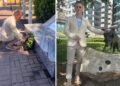 macaristan basbakani magyar nato zirvesi oncesi 20028590 6677 amp 2