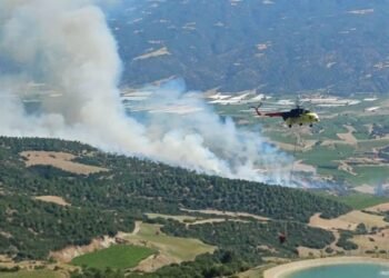 manisa da cikan orman yangini kontrol altina 20042230 amp