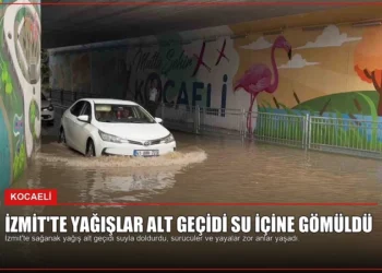 news card 01176328ab0caaf9