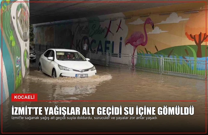 news card 01176328ab0caaf9