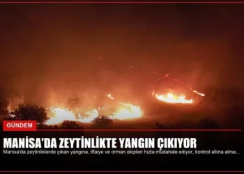news card 0176a6c823fa6f22