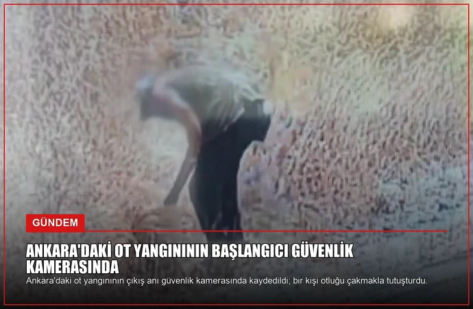 news card 047d31b1ff197322