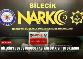 news card 07c31081ca599791