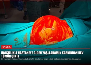 news card 0841c8bfd2c99556