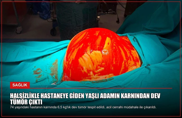 news card 0841c8bfd2c99556