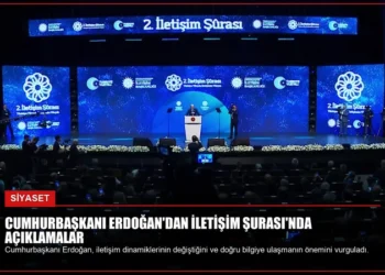 news card 08d58542b0cfbba5