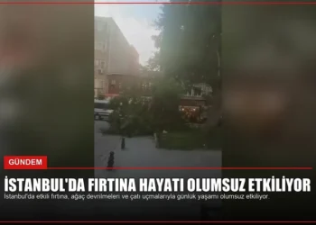 news card 0a74e6f393c48f65