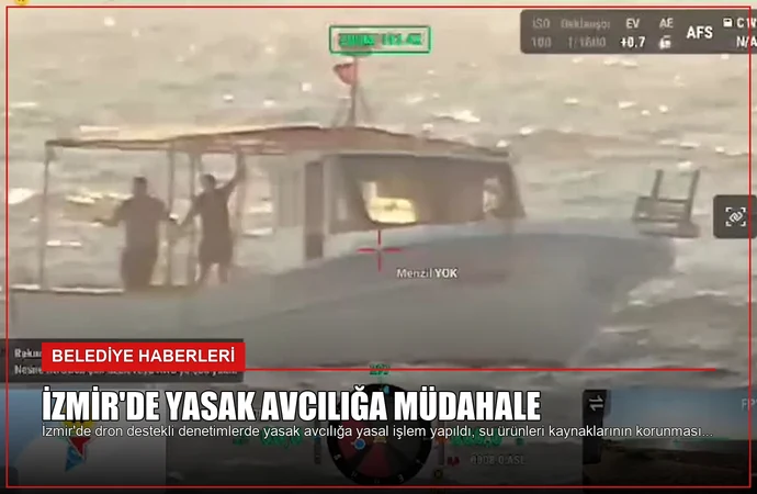 news card 0c5c7e800db3d2b8