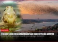 news card 101562769b473c9e