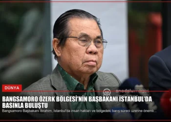 news card 116f279c1c69c768