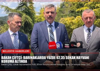 news card 12d5447d518fa0dd
