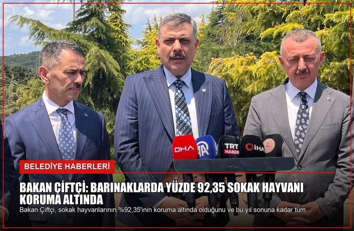 news card 12d5447d518fa0dd