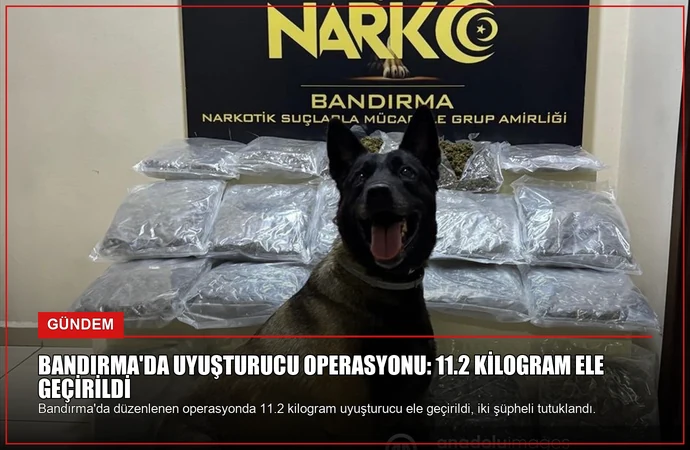 news card 136fc7b6b51bfdda