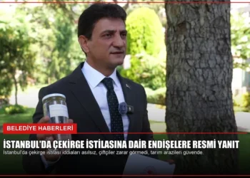 news card 1828cad671c9b93f