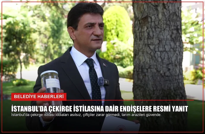 news card 1828cad671c9b93f