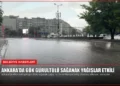 news card 188e2859d8f3c8f0
