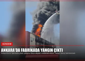 news card 18b3ee53bdca0299