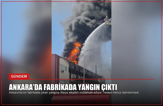 news card 18b3ee53bdca0299