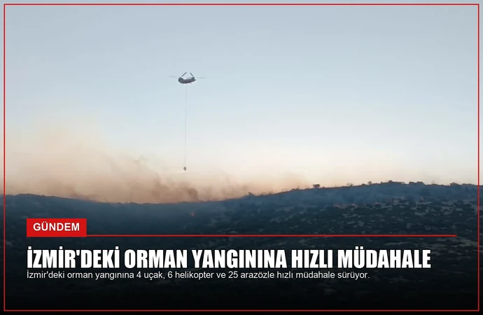 news card 19f5d6176b5941b6