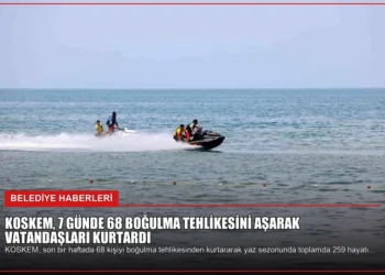 news card 1d7939560a4818af