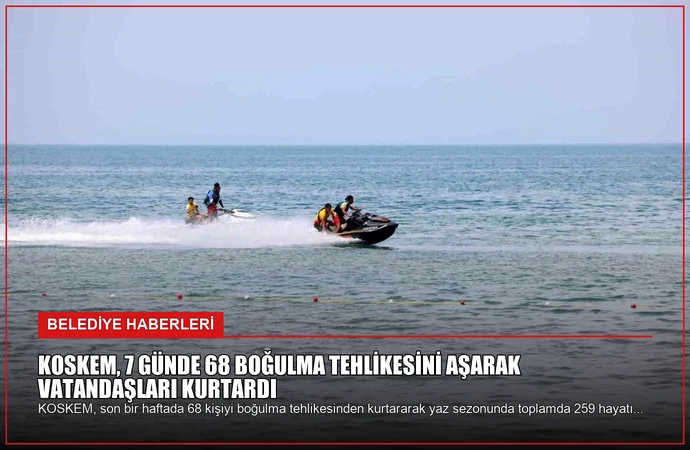 news card 1d7939560a4818af