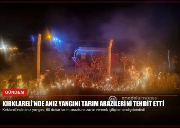 news card 1ee18a058cccf189