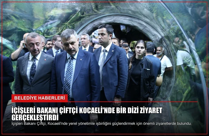 news card 231d45e7b70a2fee