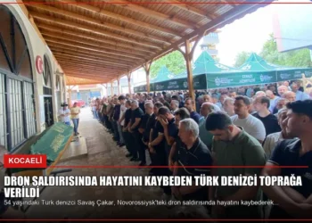 news card 2337631f362e0f44