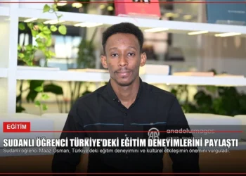 news card 238251fb3b520000