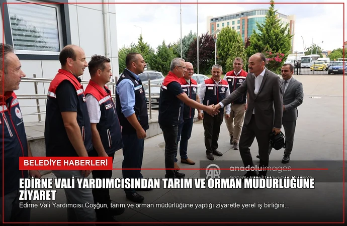 news card 25f31a06f07cd8e4