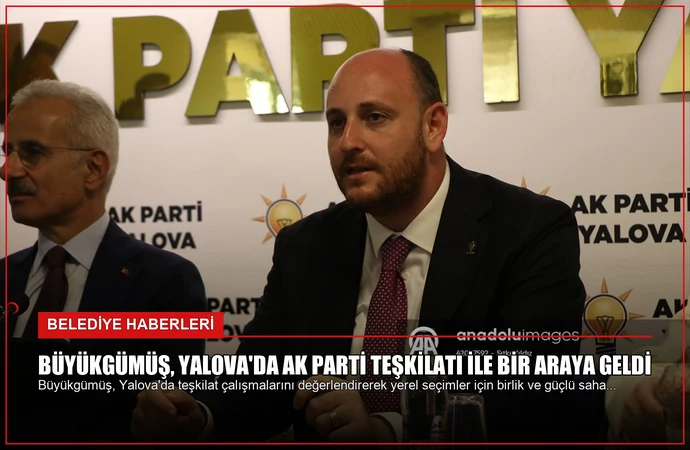 news card 26e10c2bd3dfa4b4