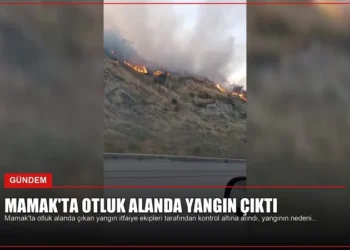 news card 2731845aa59966d7