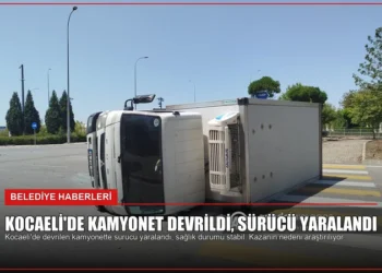 news card 293e21a73f1fe7f6