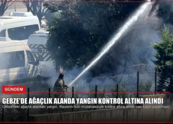 news card 2a37cb99b4c71484