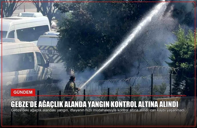news card 2a37cb99b4c71484