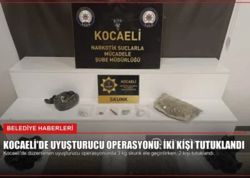 news card 2d536da9e518c665