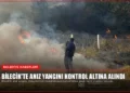 news card 2f5df44349aebdec