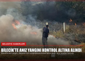 news card 2f5df44349aebdec