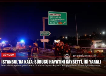 news card 30eddb9b2db8c191