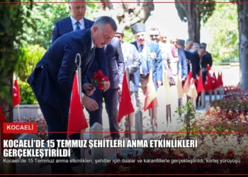 news card 3481e3cb8c6ddb89