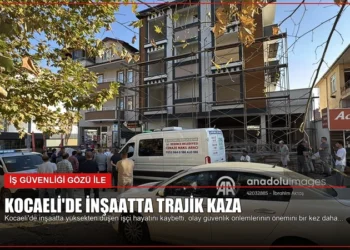 news card 35fc3a9a88bfc13d