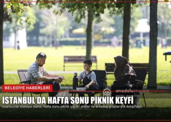 news card 3a2b3200581f0b3e
