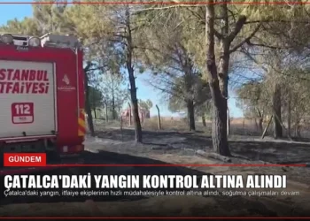 news card 3bef7f8ea50a0978